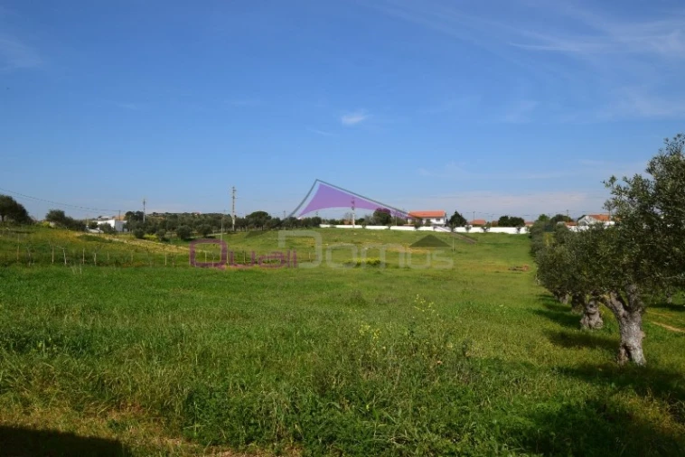 Terreno Agricola ou Rústico para Venda em Brogueira, Parceiros de Igreja e Alcorochel Foto 10