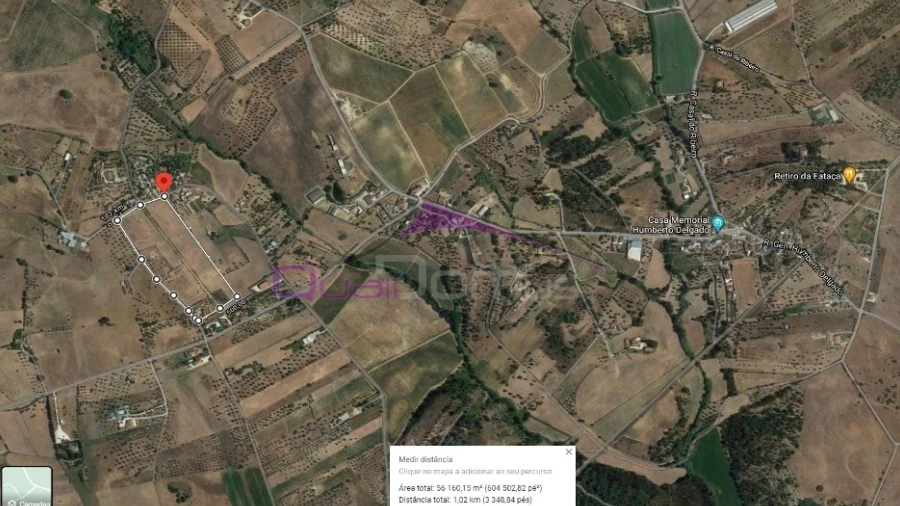 Terreno Agricola ou Rústico para Venda em Brogueira, Parceiros de Igreja e Alcorochel