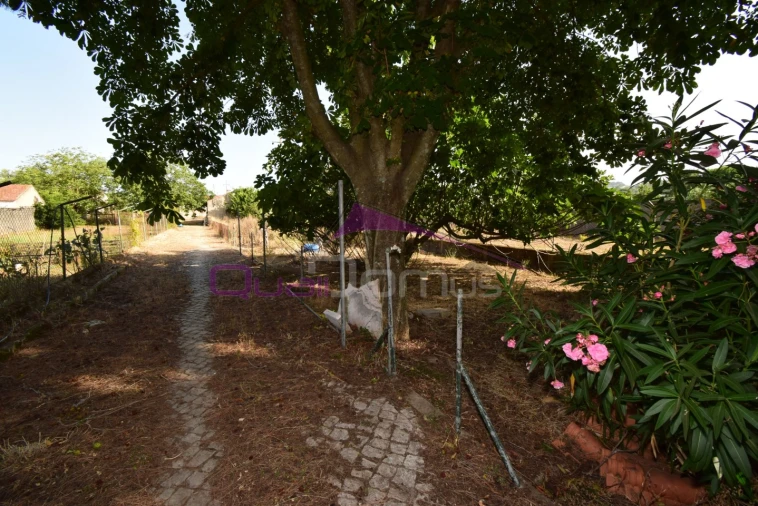 Moradia T4 para Venda em Minde Foto 46