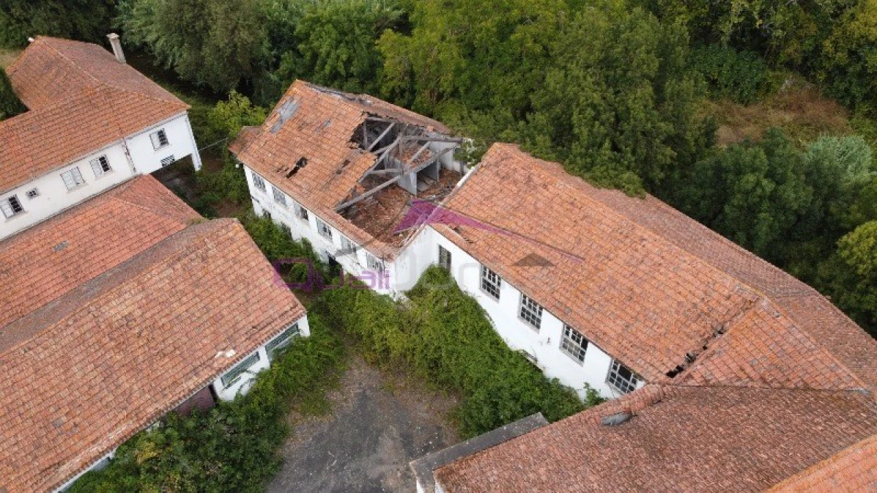 Armazém para Venda em Torres Novas (São Pedro), Lapas e Ribeira Branca Foto 6