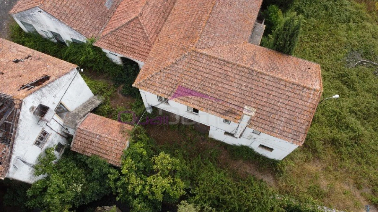 Armazém para Venda em Torres Novas (São Pedro), Lapas e Ribeira Branca Foto 10