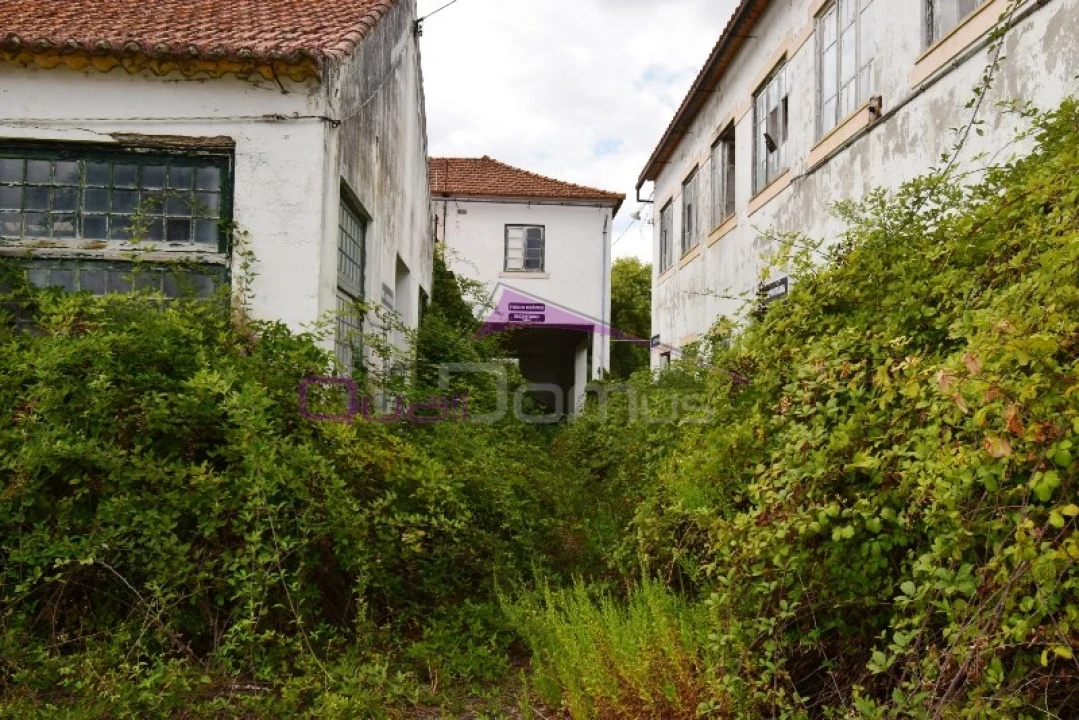 Armazém para Venda em Torres Novas (São Pedro), Lapas e Ribeira Branca Foto 13