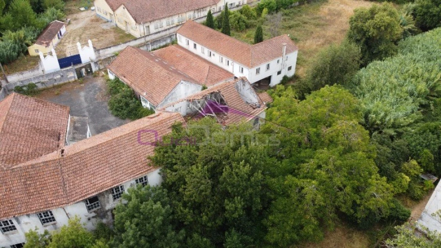 Armazém para Venda em Torres Novas (São Pedro), Lapas e Ribeira Branca Foto 3