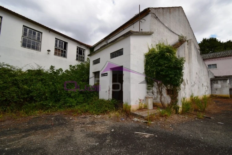 Armazém para Venda em Torres Novas (São Pedro), Lapas e Ribeira Branca Foto 14