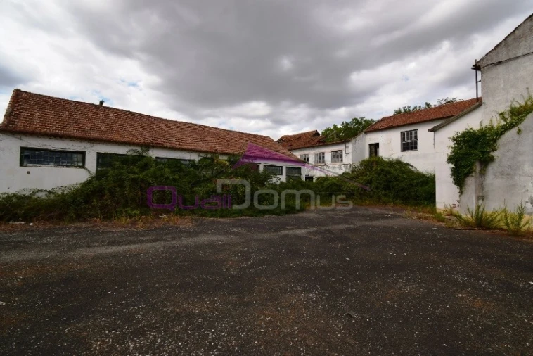 Armazém para Venda em Torres Novas (São Pedro), Lapas e Ribeira Branca Foto 15