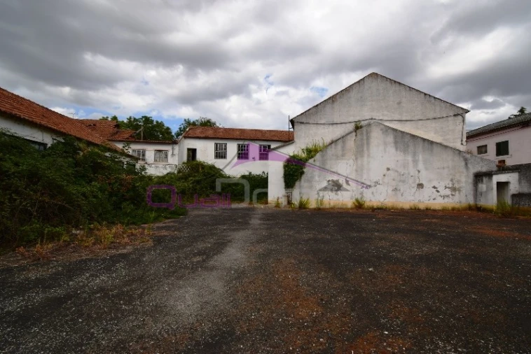 Armazém para Venda em Torres Novas (São Pedro), Lapas e Ribeira Branca Foto 16