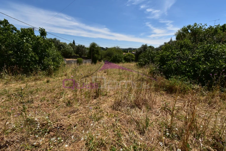 Terreno para Venda em Pedrogão Foto 3