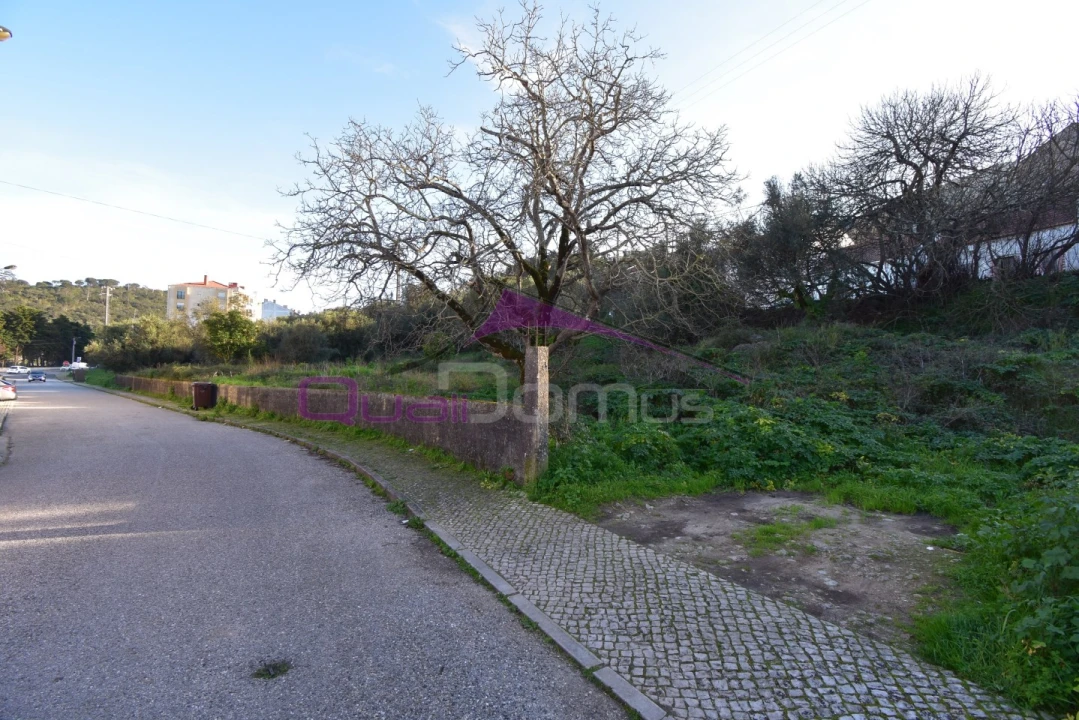 Terreno para Venda em Minde Foto 3