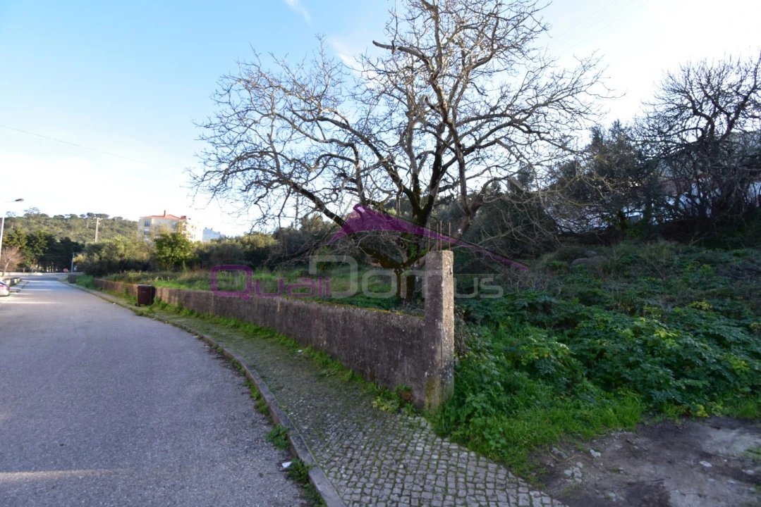 Terreno para Venda em Minde Foto 4
