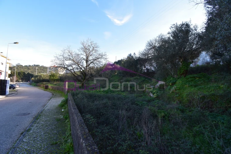 Terreno para Venda em Minde Foto 2