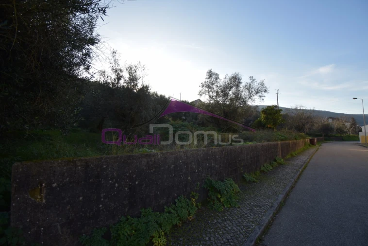 Terreno para Venda em Minde Foto 5