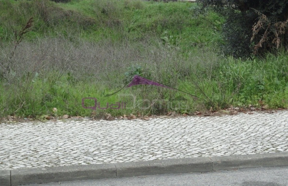 Terreno para Venda em Torres Novas (São Pedro), Lapas e Ribeira Branca Foto 1