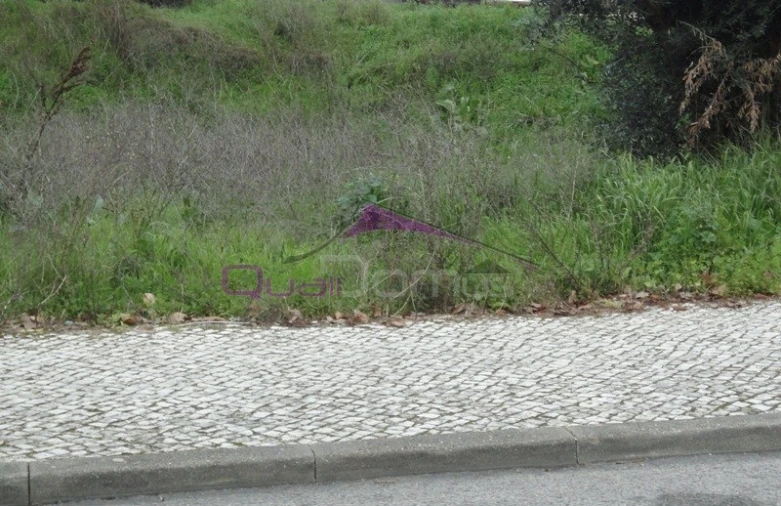 Terreno para Venda em Torres Novas (São Pedro), Lapas e Ribeira Branca Foto 1