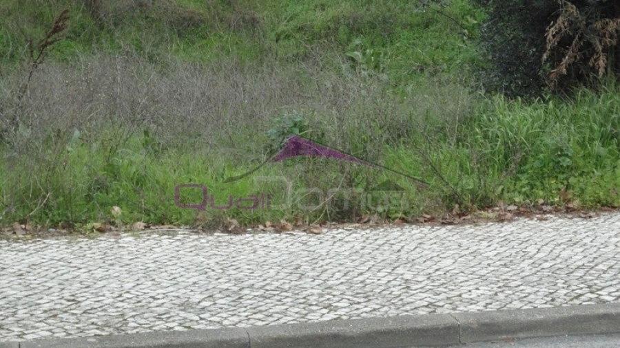 Terreno para Venda em Torres Novas (São Pedro), Lapas e Ribeira Branca