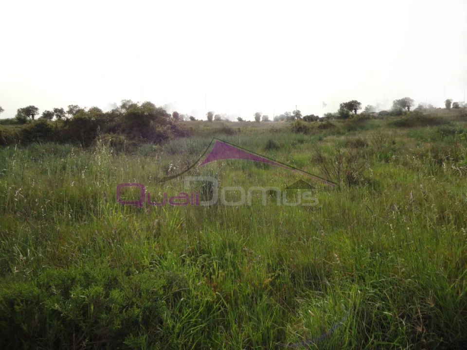 Terreno para Venda em Montalvo Foto 1