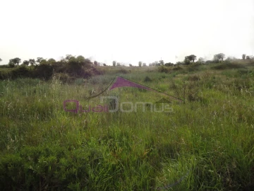 Terreno para Venda em Montalvo