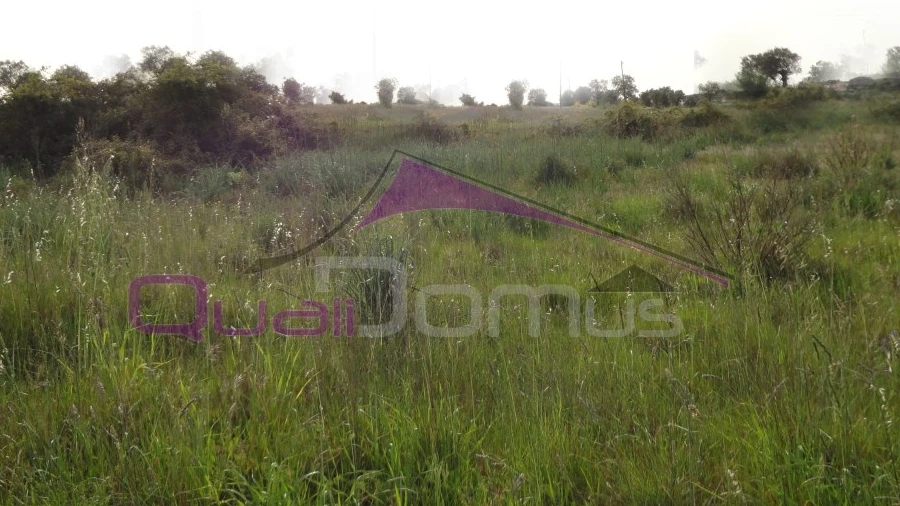 Terreno para Venda em Montalvo