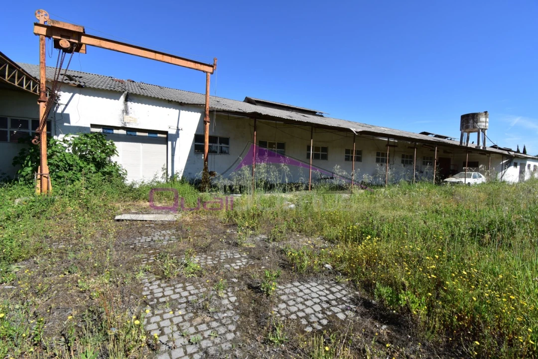 Armazém para Venda em Torres Novas (Santa Maria, Salvador e Santiago) Foto 7
