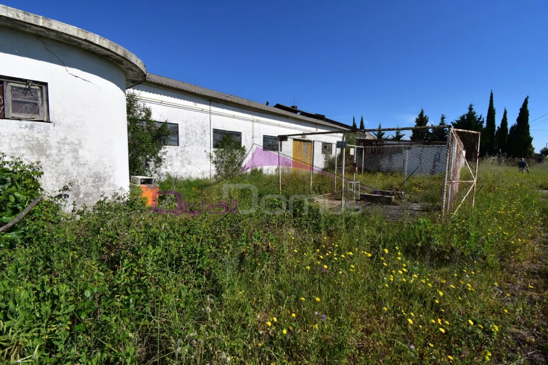 Armazém para Venda em Torres Novas (Santa Maria, Salvador e Santiago) Foto 9