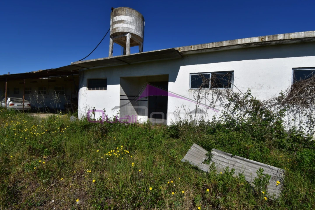 Armazém para Venda em Torres Novas (Santa Maria, Salvador e Santiago) Foto 10