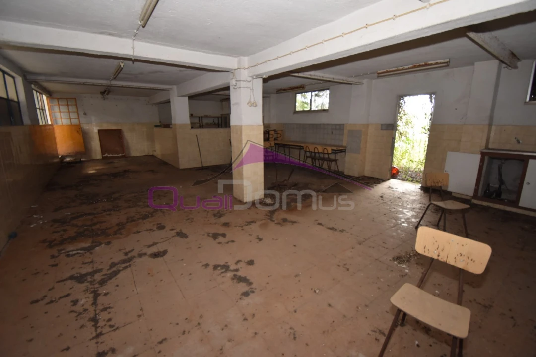 Armazém para Venda em Torres Novas (Santa Maria, Salvador e Santiago) Foto 21