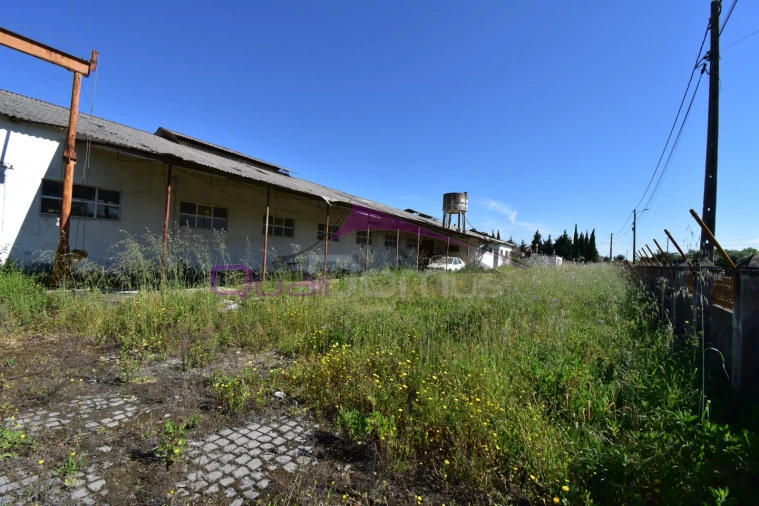 Armazém para Venda em Torres Novas (Santa Maria, Salvador e Santiago) Foto 5
