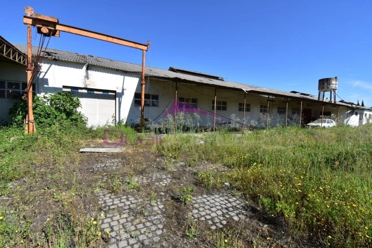 Armazém para Venda em Torres Novas (Santa Maria, Salvador e Santiago) Foto 7