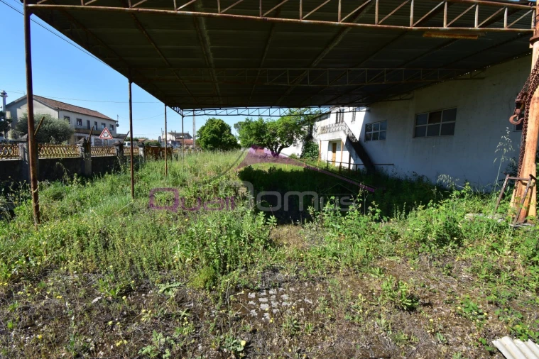 Armazém para Venda em Torres Novas (Santa Maria, Salvador e Santiago) Foto 8