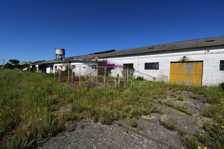 Armazém para Venda em Torres Novas (Santa Maria, Salvador e Santiago) Foto 11