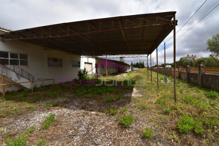 Armazém para Venda em Torres Novas (Santa Maria, Salvador e Santiago) Foto 13