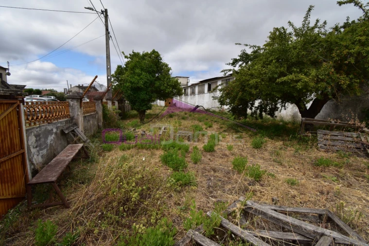 Armazém para Venda em Torres Novas (Santa Maria, Salvador e Santiago) Foto 14