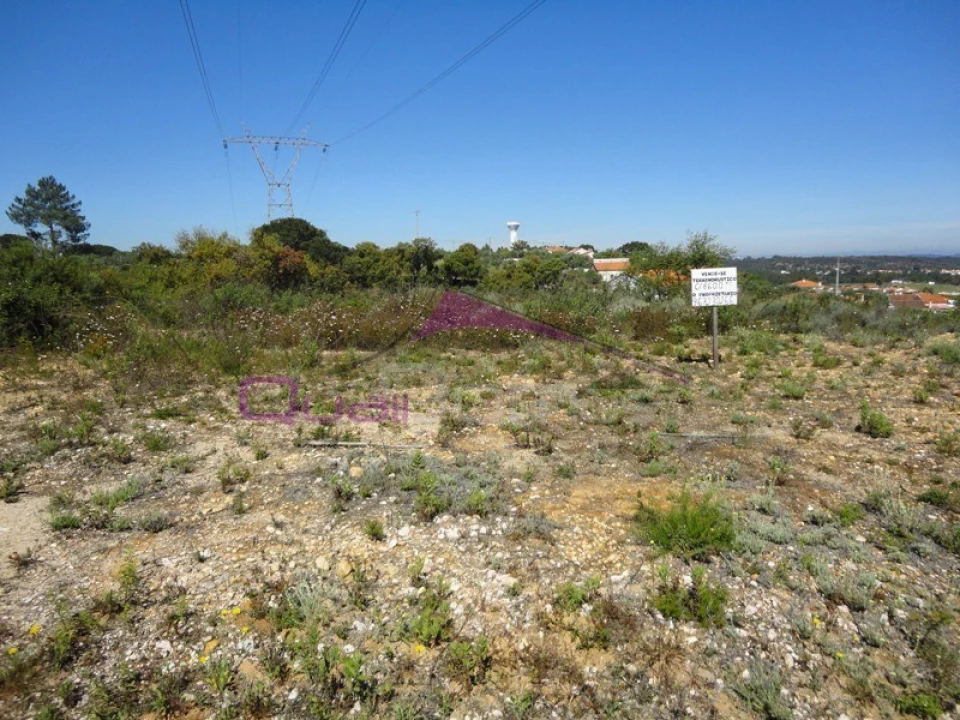 Terreno Agricola ou Rústico para Venda em Santa Margarida da Coutada Foto 1