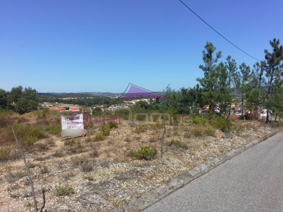 Terreno Agricola ou Rústico para Venda em Santa Margarida da Coutada Foto 2