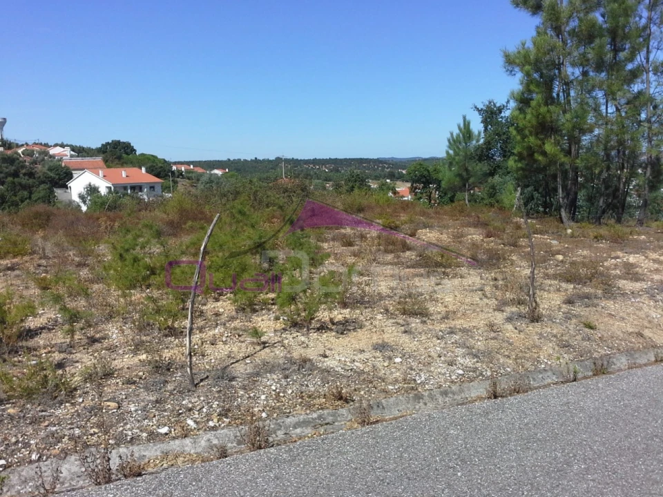Terreno Agricola ou Rústico para Venda em Santa Margarida da Coutada Foto 3