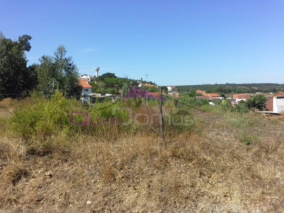 Terreno Agricola ou Rústico para Venda em Santa Margarida da Coutada Foto 7
