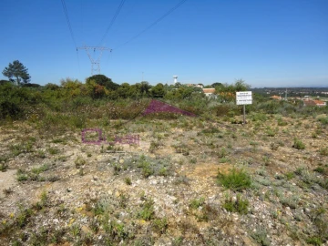 Terreno Agricola ou Rústico para Venda em Santa Margarida da Coutada
