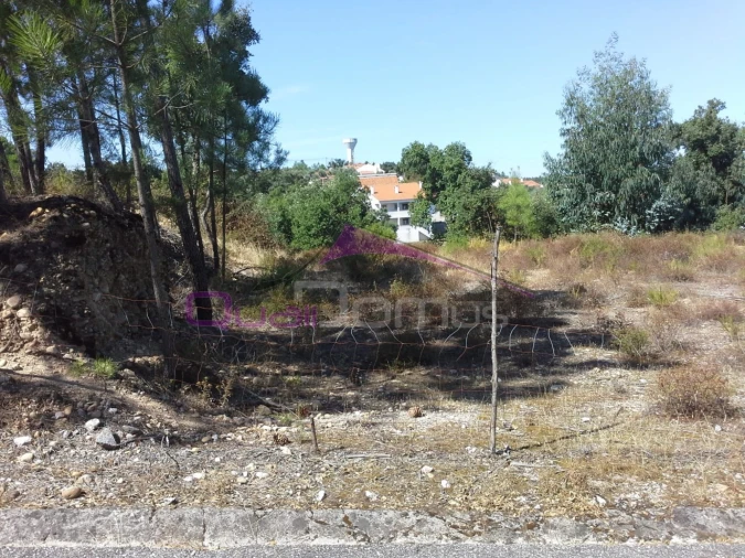 Terreno Agricola ou Rústico para Venda em Santa Margarida da Coutada Foto 5