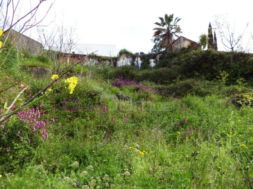 Terreno para Venda em Alcanena e Vila Moreira Foto 2