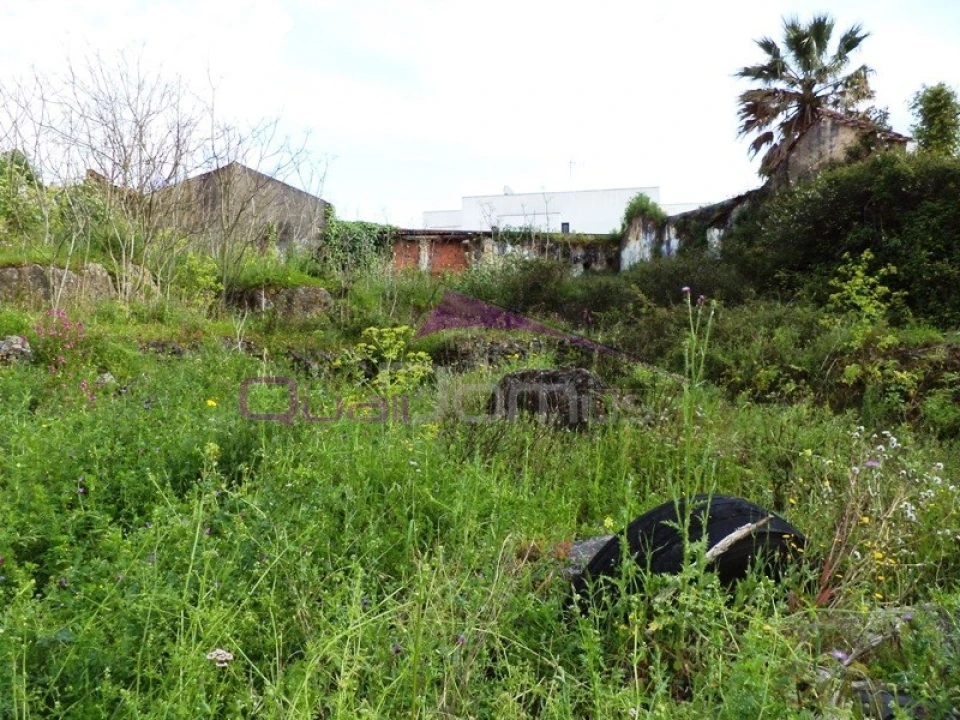 Terreno para Venda em Alcanena e Vila Moreira Foto 3