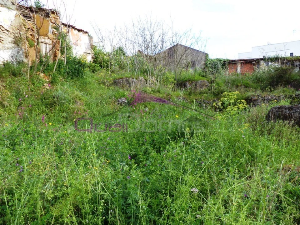 Terreno para Venda em Alcanena e Vila Moreira Foto 4