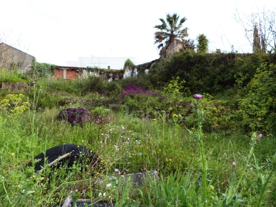 Terreno para Venda em Alcanena e Vila Moreira Foto 5