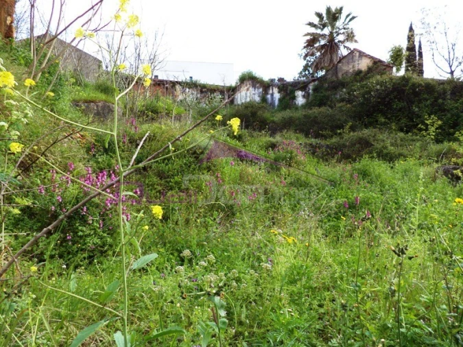 Terreno para Venda em Alcanena e Vila Moreira Foto 1