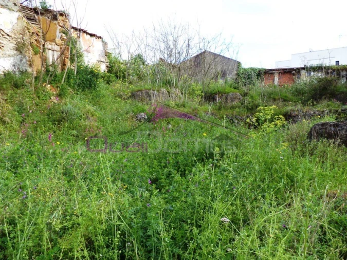 Terreno para Venda em Alcanena e Vila Moreira Foto 4