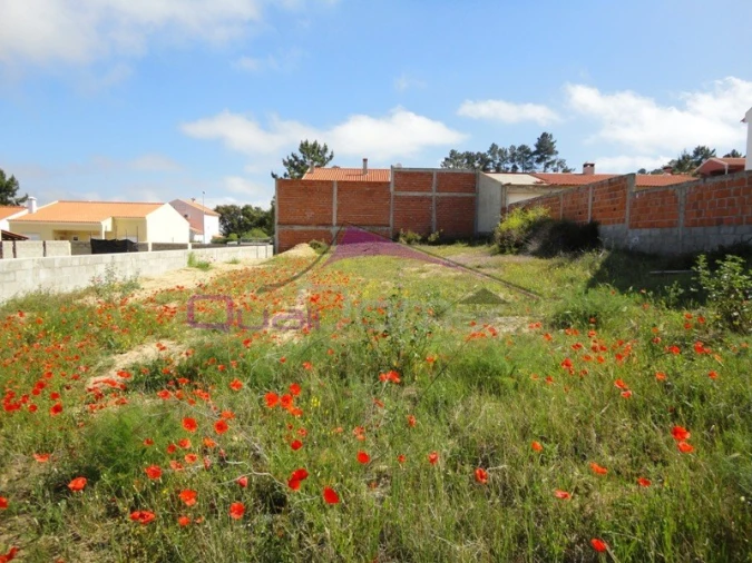 Terreno para Venda em Carregueira Foto 1