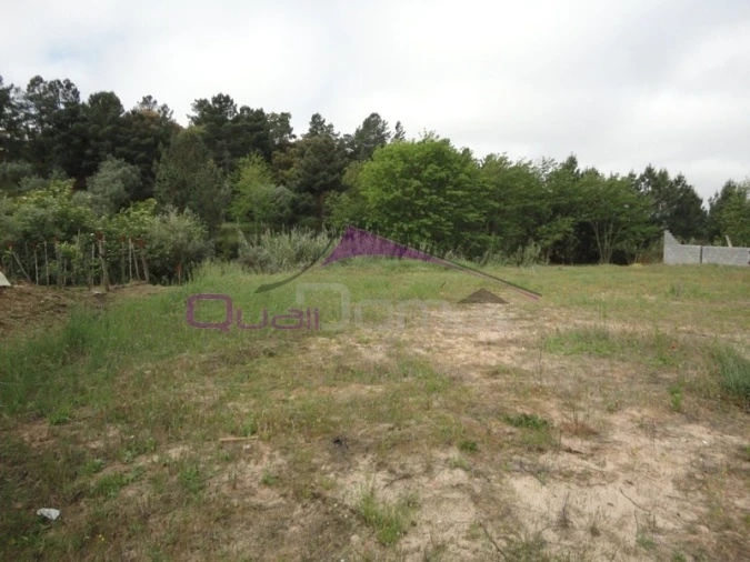 Terreno para Venda em Chamusca e Pinheiro Grande