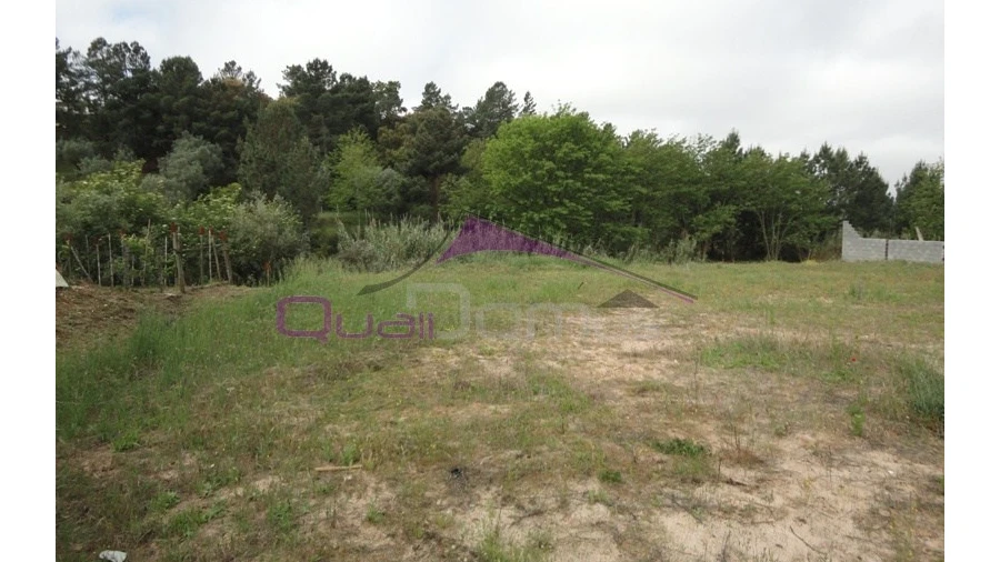 Terreno para Venda em Chamusca e Pinheiro Grande