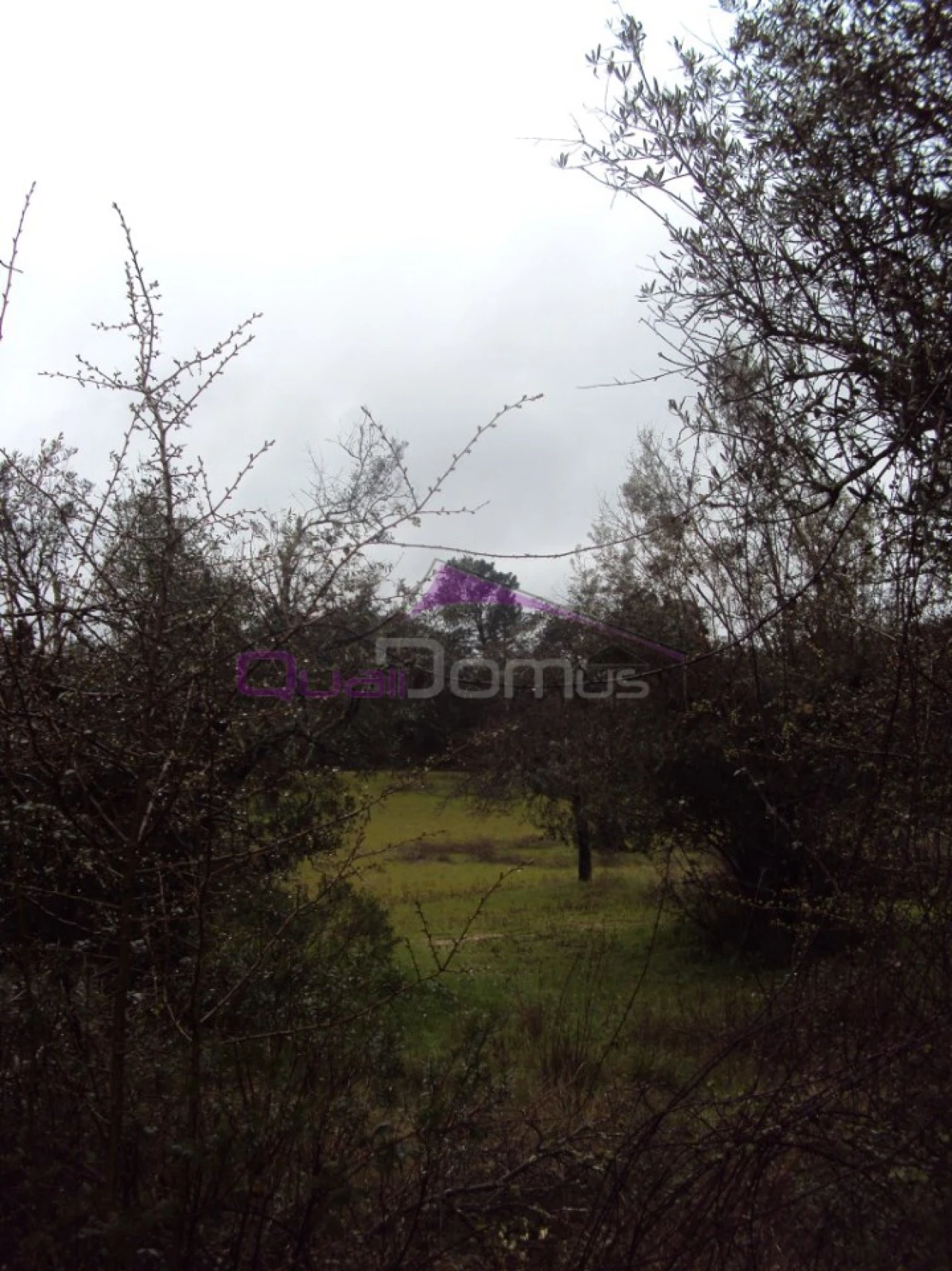 Terreno Agricola ou Rústico para Venda em Olaia e Paço Foto 2