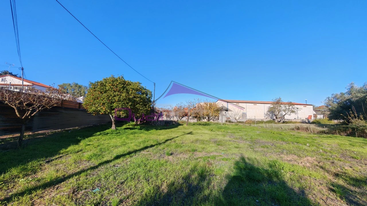 Terreno Misto para Venda em Paialvo Foto 3