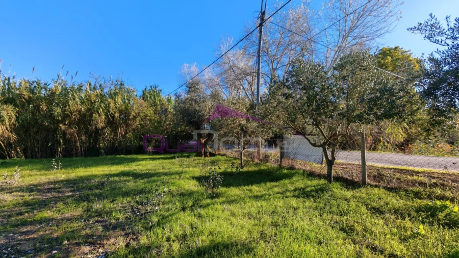 Terreno Misto para Venda em Paialvo Foto 4