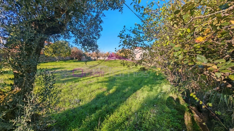 Terreno Misto para Venda em Paialvo